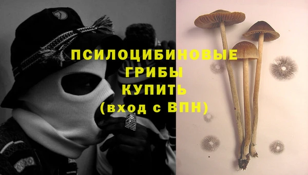 шишки Абинск
