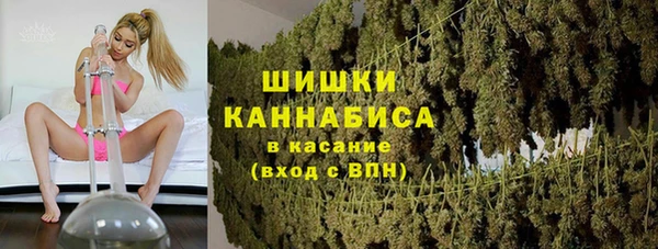 шишки Абинск