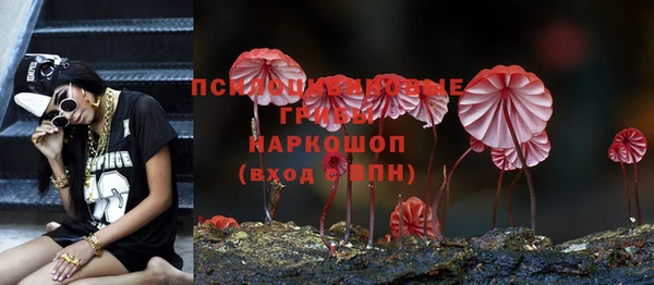2c-b Великий Новгород
