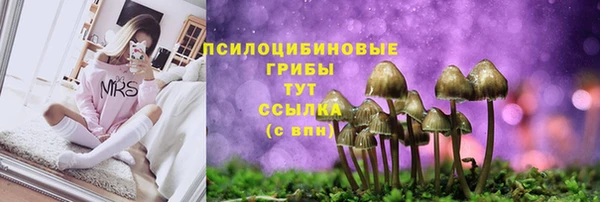 наркотики Кукмор